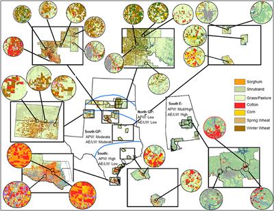 Natural Enemies, Mediated by Landscape and Weather Conditions, Shape Response of the Sorghum Agroecosystem of North America to the Invasive Aphid Melanaphis sorghi